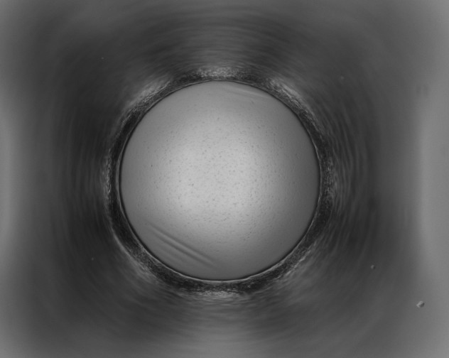 X0000086890586200705071224