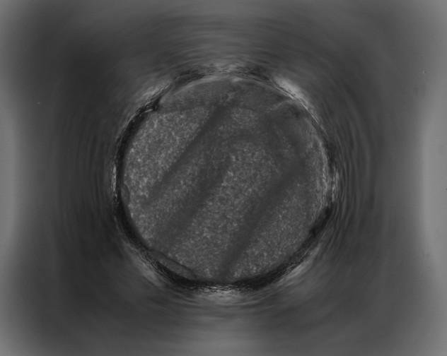 X0000086890589200705071224