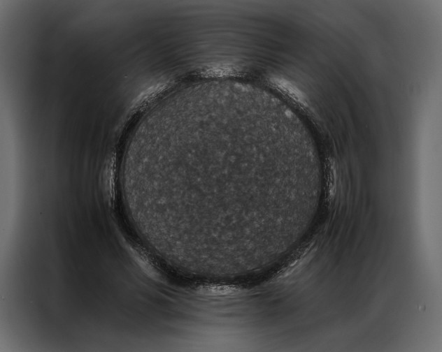 X0000086890590200705071224