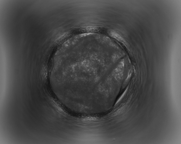 X0000086890593200705071224