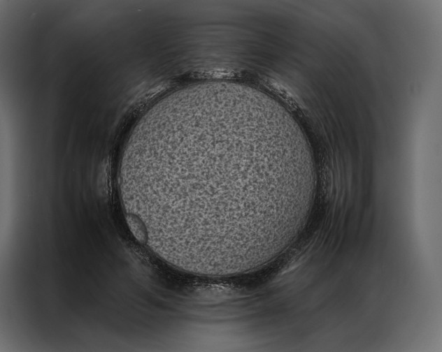 X0000086890594200705071224