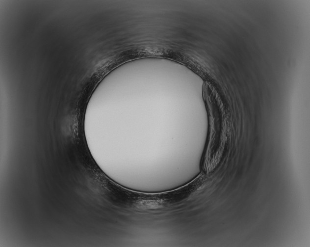 X0000086890595200705071224