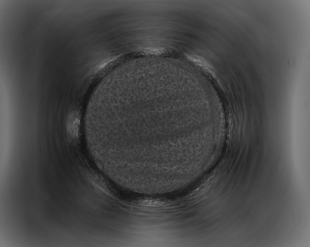 X0000086890596200705071224