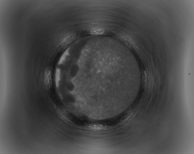 X0000086890598200705071224