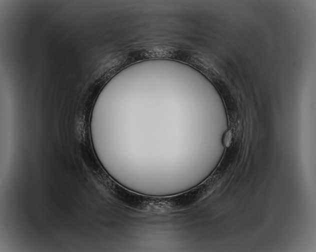 X0000086890599200705071224