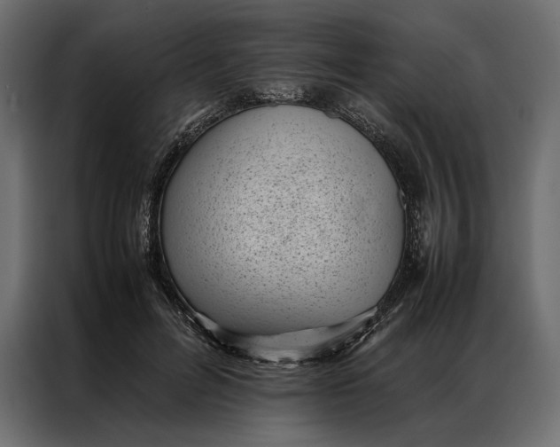 X0000086890600200705071224