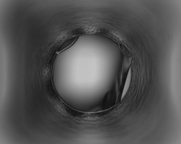 X0000086890601200705071224