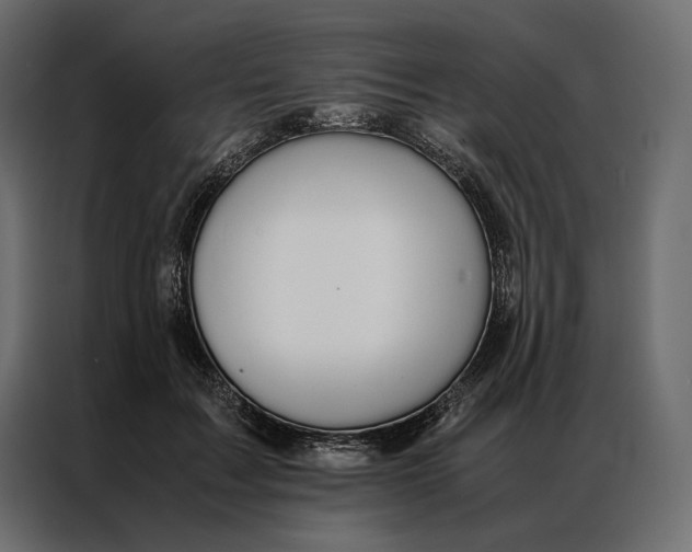 X0000086890603200705071224