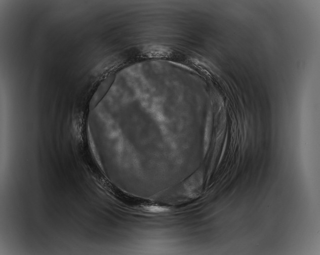 X0000086890604200705071224