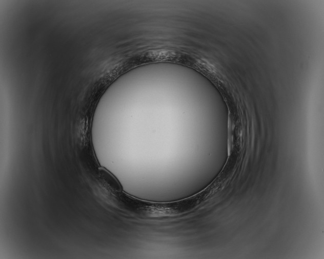 X0000086890605200705071224