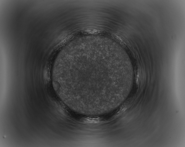 X0000086890606200705071224