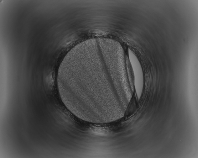 X0000086890608200705071224