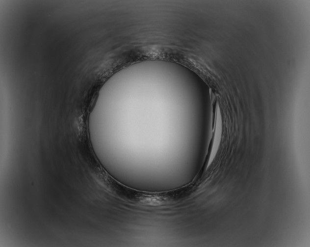 X0000086890611200705071224