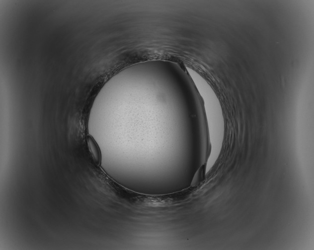 X0000086890613200705071224