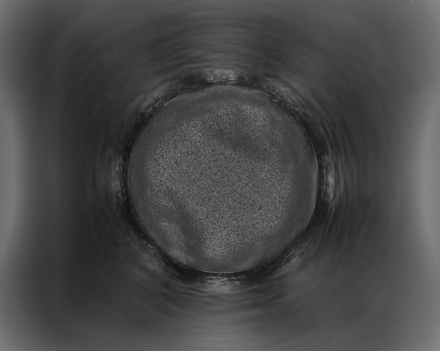 X0000086890616200705071224