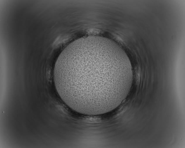 X0000086890619200705071224