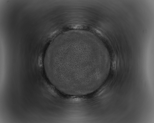 X0000086890620200705071224