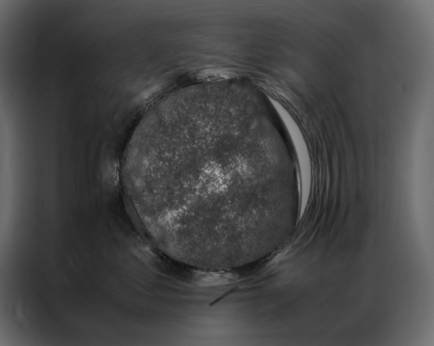 X0000086890621200705071224