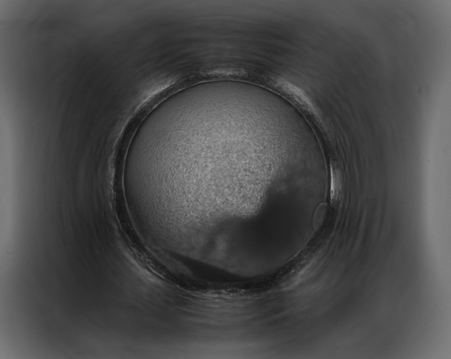 X0000086890627200705071223