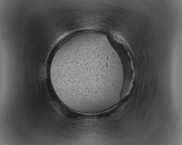 X0000086890628200705071223