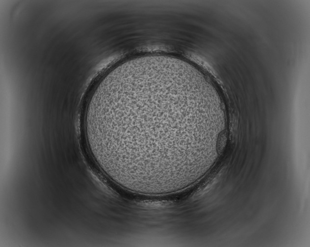 X0000086890629200705071223