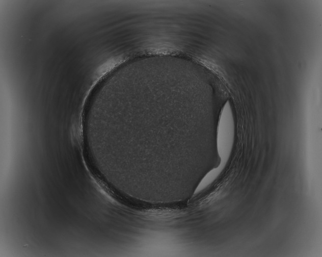 X0000086890630200705071223