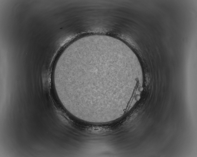 X0000086890632200705071223