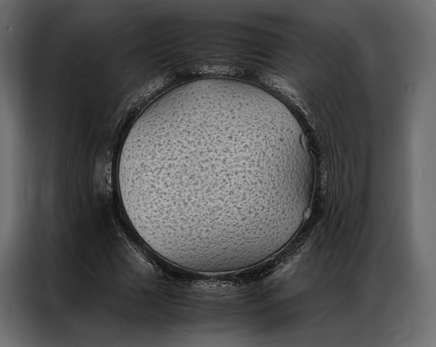 X0000086890633200705071223