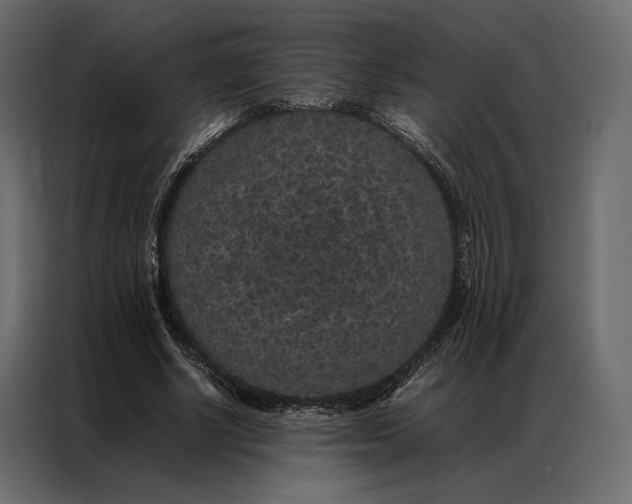 X0000086890634200705071223