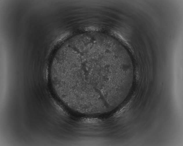 X0000086890637200705071223