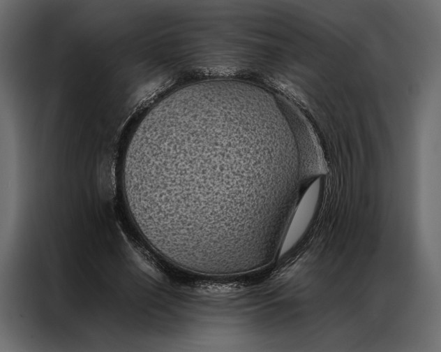 X0000086890638200705071223