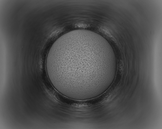 X0000086890639200705071223