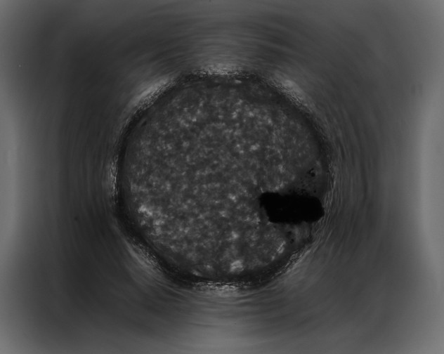 X0000086890640200705071223