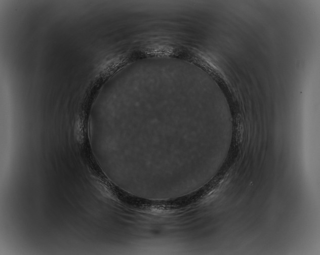 X0000086890641200705071223