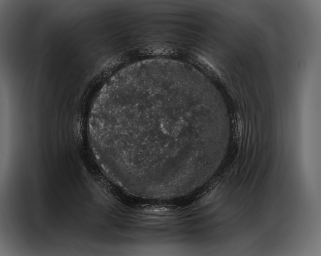 X0000086890643200705071223