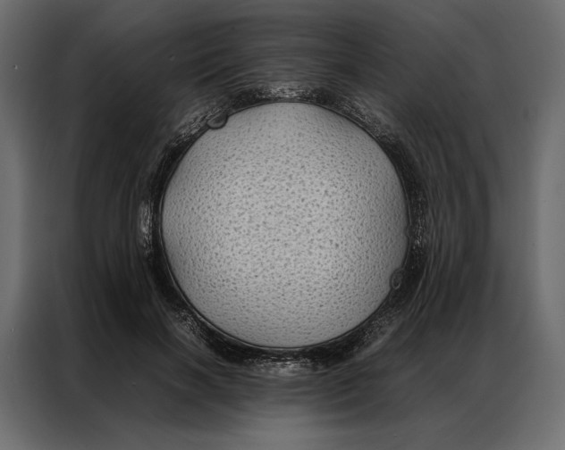 X0000086890646200705071224