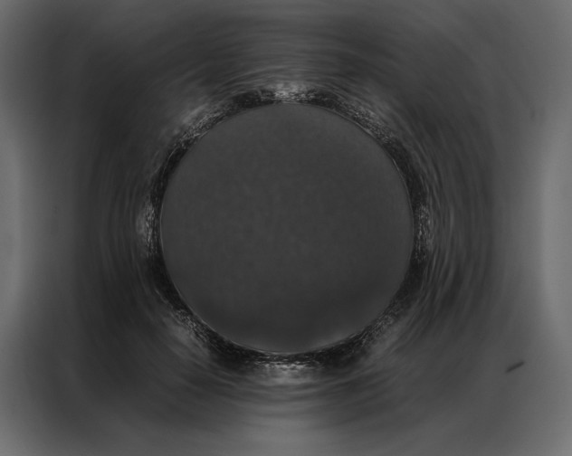 X0000086890650200705071224