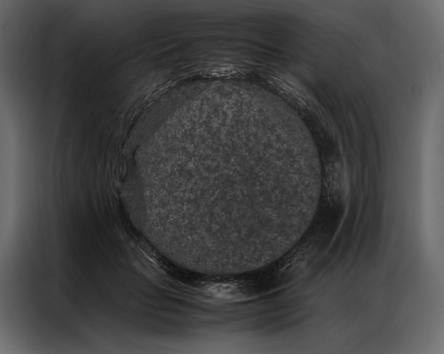 X0000086890653200705071224