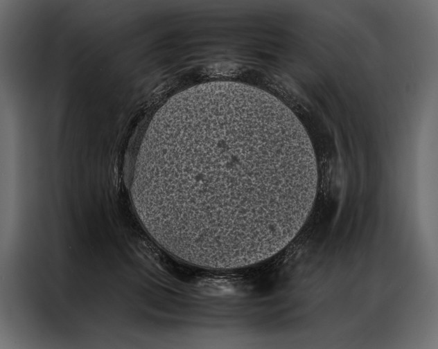 X0000086890655200705071224