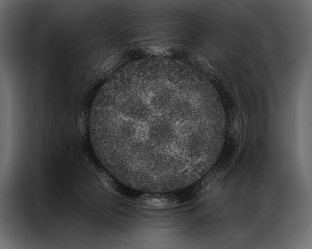 X0000086890658200705071224