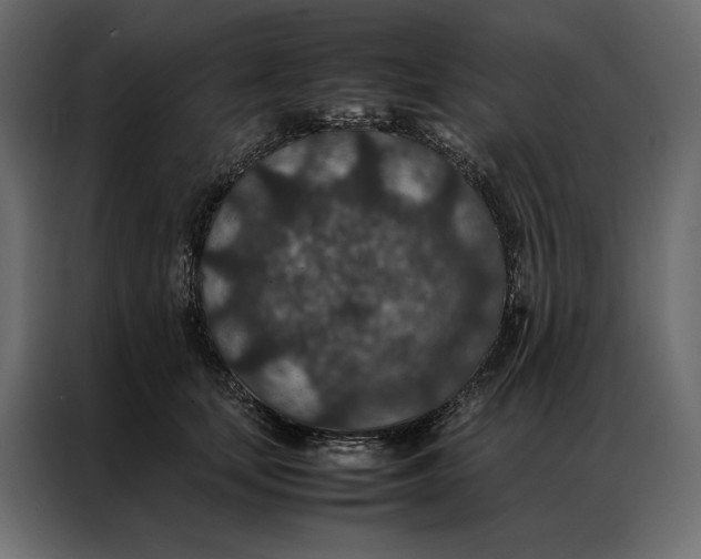 X0000086890659200705071224