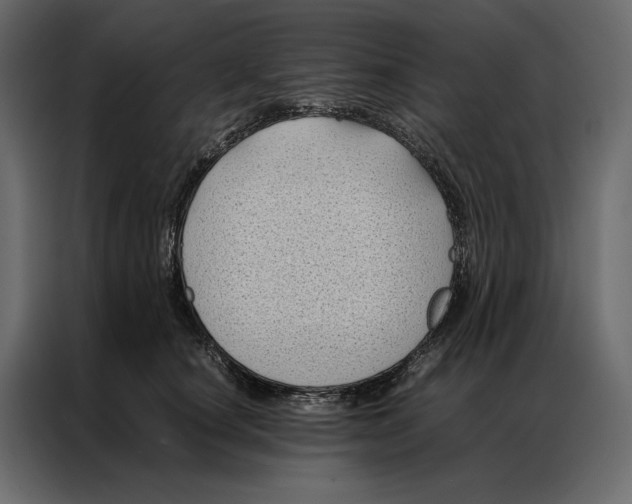 X0000086890660200705071224