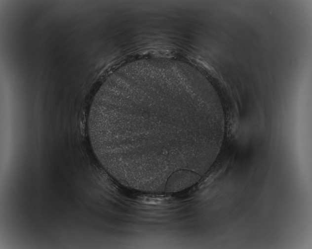 X0000086890661200705071224