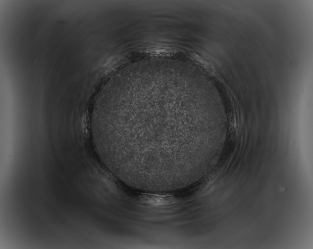 X0000086890663200705071224