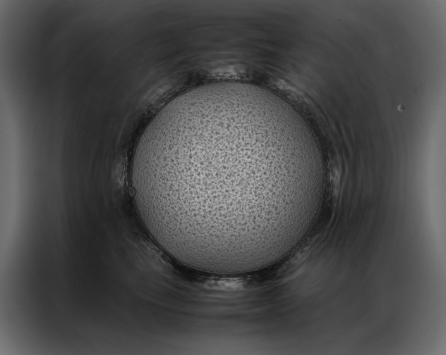 X0000086890665200705071224