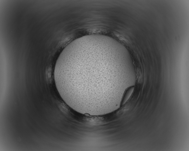 X0000086890670200705071224