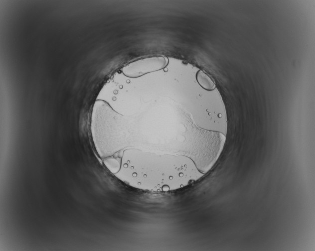 X0000086890672200705071224