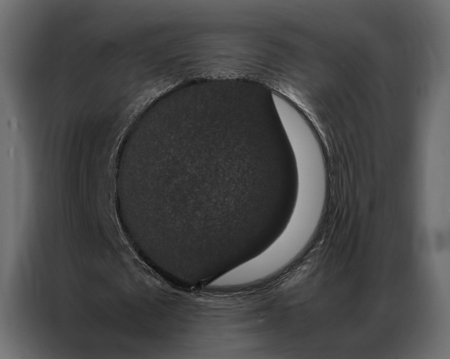 X0000086890673200705071223