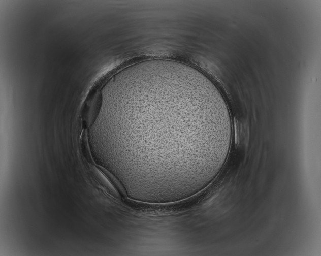 X0000086890675200705071223