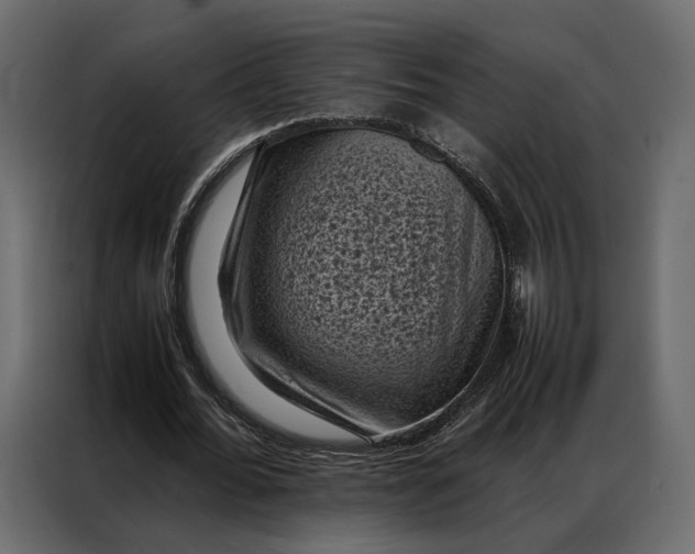 X0000086890676200705071223